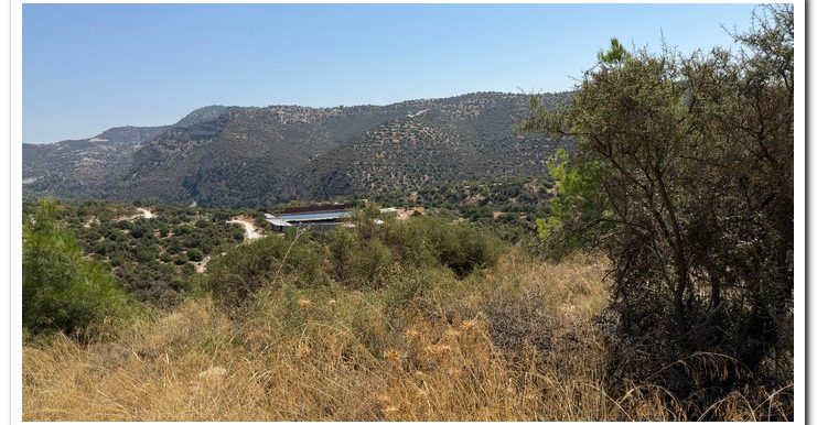 STAVROULLA LAND 6380M2 (5)