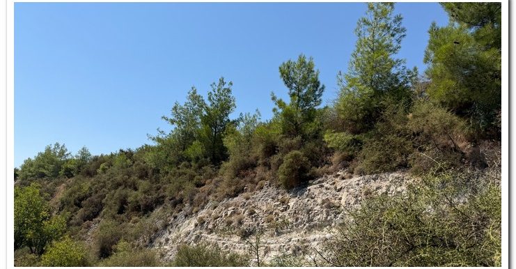 STAVROULLA LAND 6380M2 (6)
