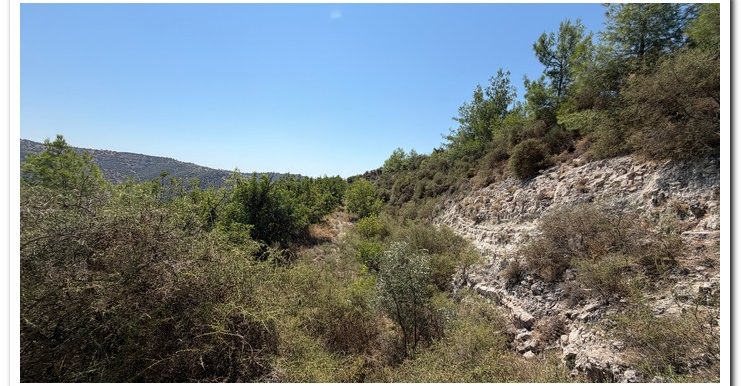STAVROULLA LAND 6380M2 (7)