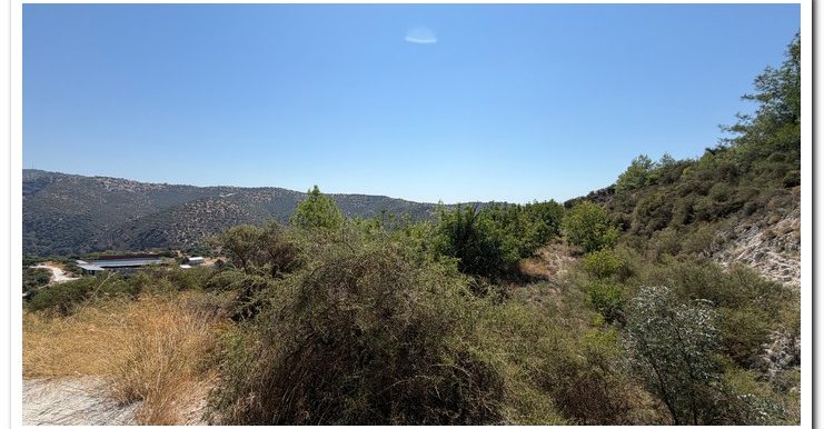 STAVROULLA LAND 6380M2 (8)