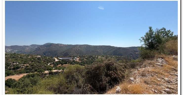 STAVROULLA LAND 6380M2 (9)