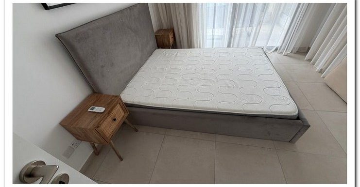 TRACHONI NEW 8 741x386