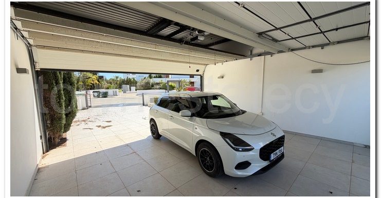 VILLA AYIA NAPA (100)
