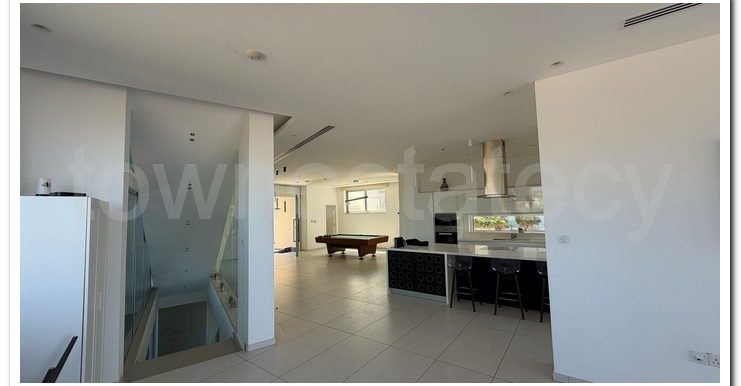 VILLA AYIA NAPA (106)