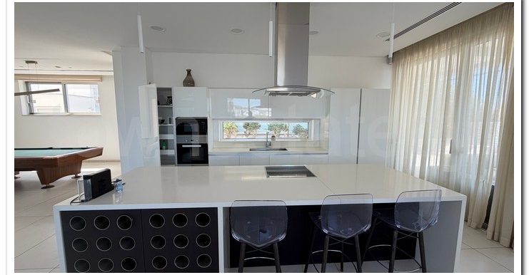 VILLA AYIA NAPA (19)