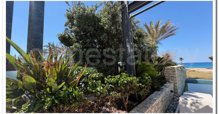 VILLA AYIA NAPA (2)