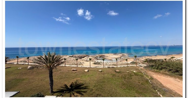 VILLA AYIA NAPA (66)