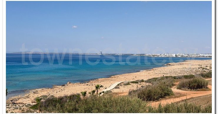 VILLA AYIA NAPA (68)