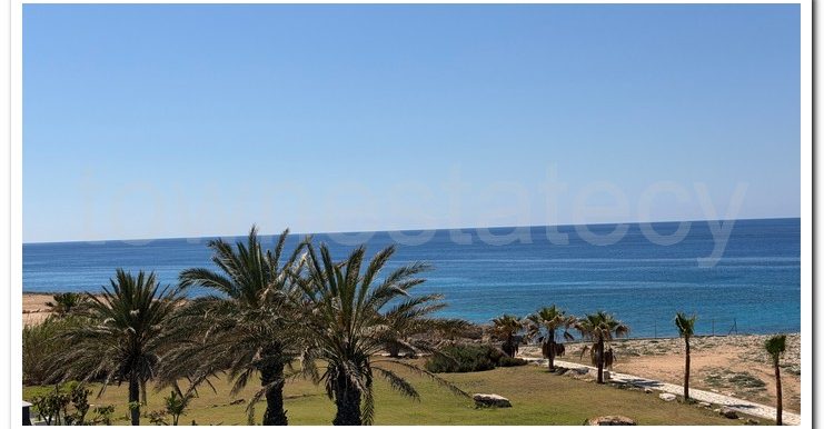 VILLA AYIA NAPA (71)