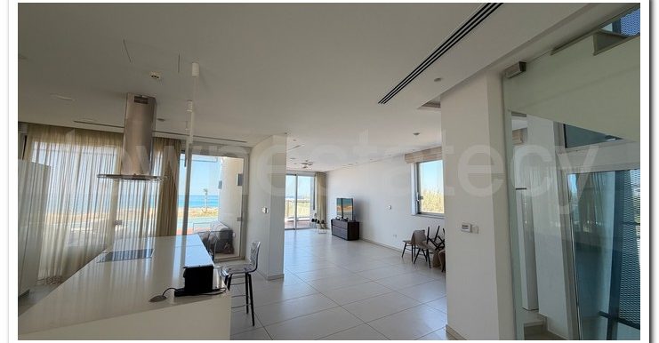 VILLA AYIA NAPA (8)