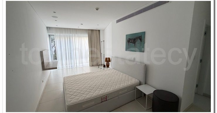 VILLA AYIA NAPA (84)