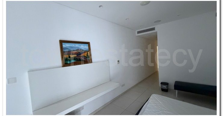 VILLA AYIA NAPA (89)