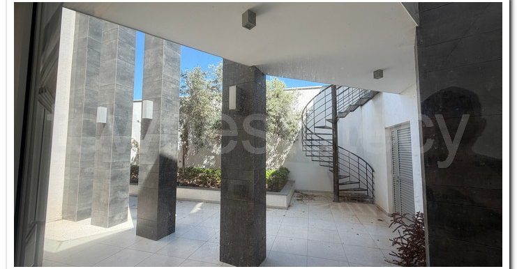 VILLA AYIA NAPA (96)