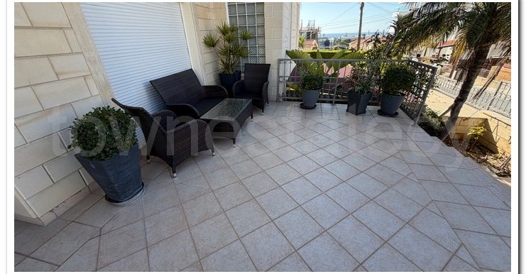 XIMONIDES DOCTOR (15)