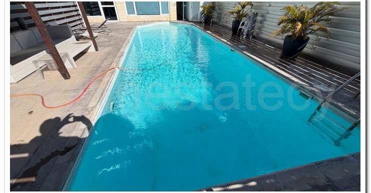 XIMONIDES DOCTOR (22)