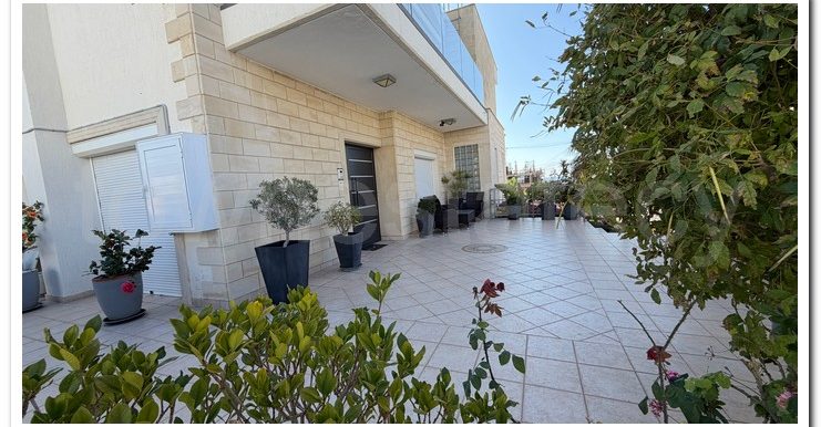 XIMONIDES DOCTOR (32)