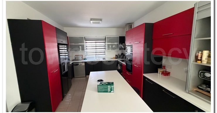 XIMONIDES DOCTOR (8)