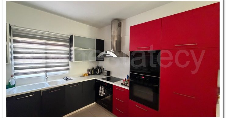 XIMONIDES DOCTOR (9)