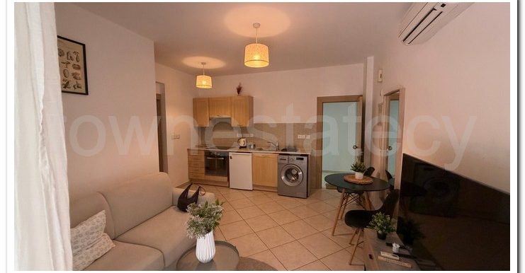 ZAVOS ROMANA 1ST FLOOR (26)