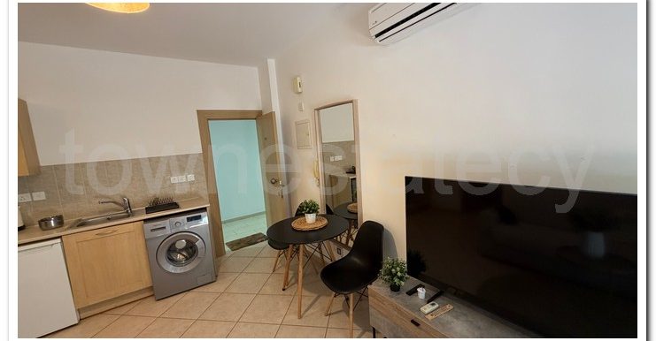 ZAVOS ROMANA 1ST FLOOR (28)