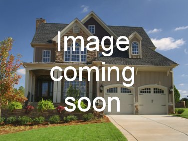 31 IMAGE COMMING SOON