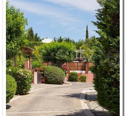 AMATHUSIA OUTDOOR FOTOS (8)