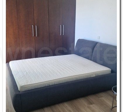 ANTIGONI ARSINOI (19)
