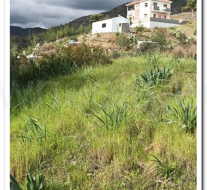 ARAKAPAS SOFI (7)