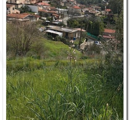 ARAKAPAS SOFI (9)