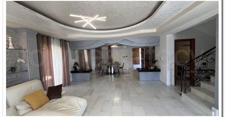KALLIS RENOVATED VILLA (47)