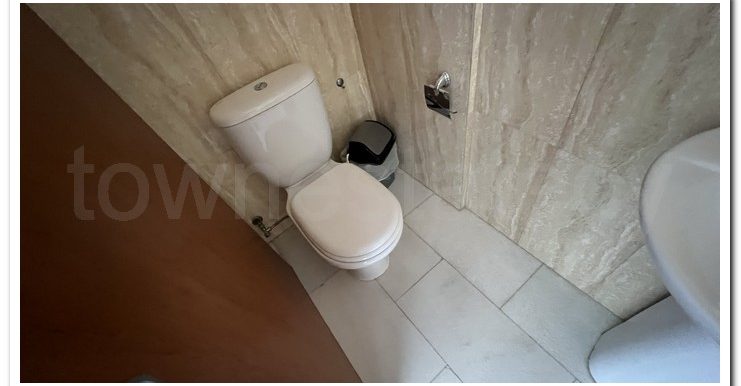 KALLIS RENOVATED VILLA (78)