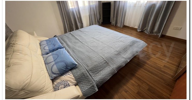 KALLIS RENOVATED VILLA (91)
