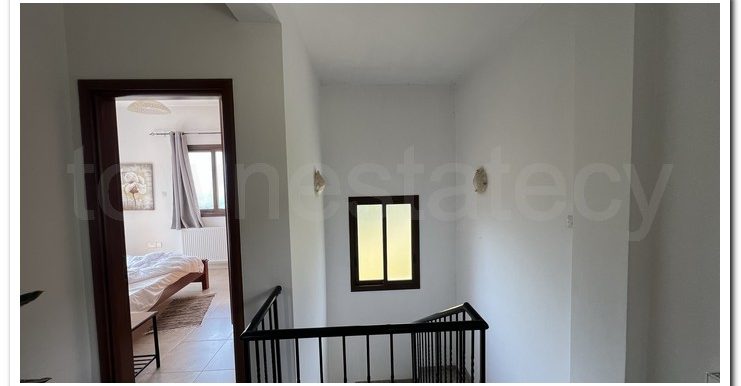 KYPEROUNTA 6366 (17)
