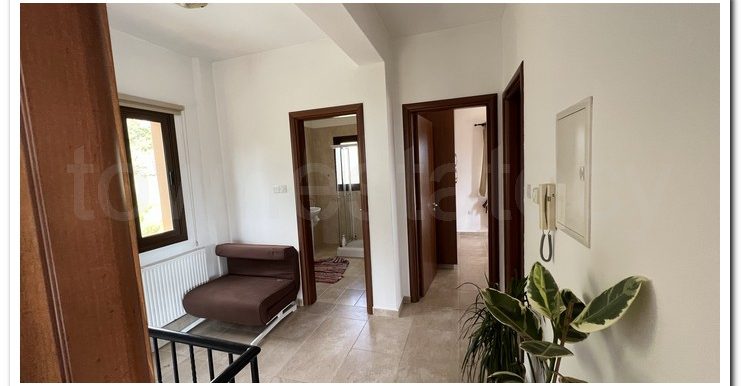 KYPEROUNTA 6366 (25)