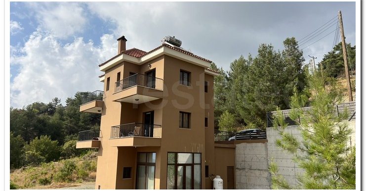 KYPEROUNTA 6366 (35)