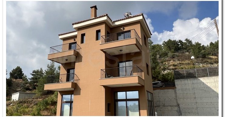 KYPEROUNTA 6366 (38)