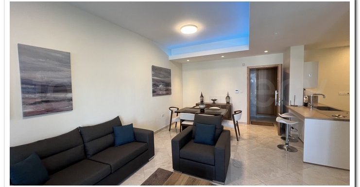 LANDAS LUX ST (39)