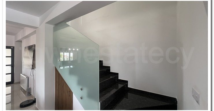 NEW ANDREAS VASO (4)