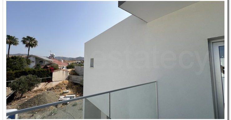 PATER MICHALIS PYRGOS (39)