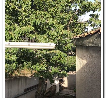 PERA PEDI MYRIA ATHENS (15)