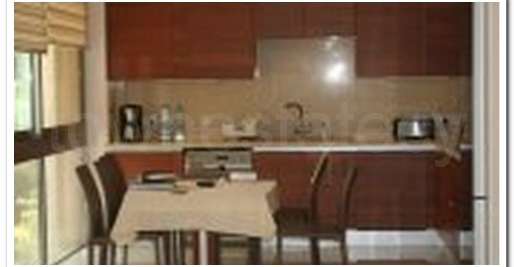 RELUX SAVOY SALE OR RENT (10)