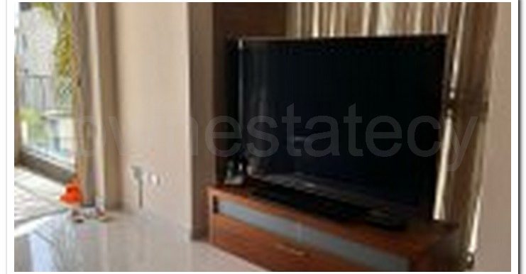 RELUX SAVOY SALE OR RENT (22)