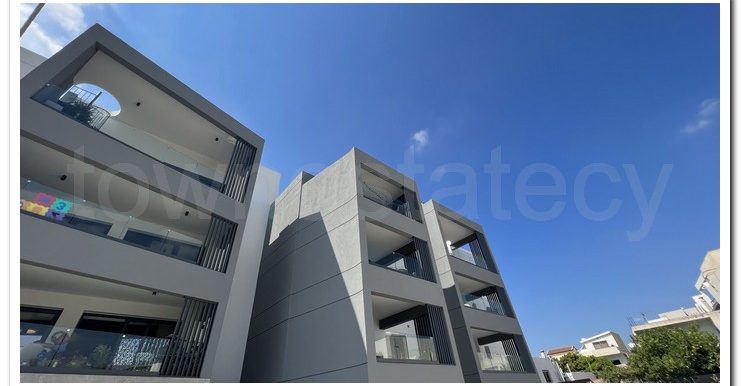 RITA KAPSALOS SPIROU KIPRIANOU (26)