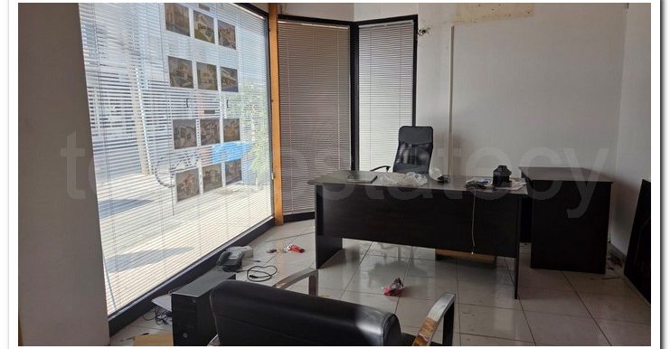 ROMANA OFFICE GLASTONOS (5)