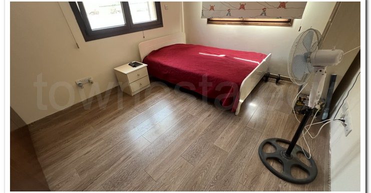 SKAROS THEODOROS HOUSE (22)