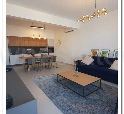 TOMMYS ROOF GARDEN APART (18)