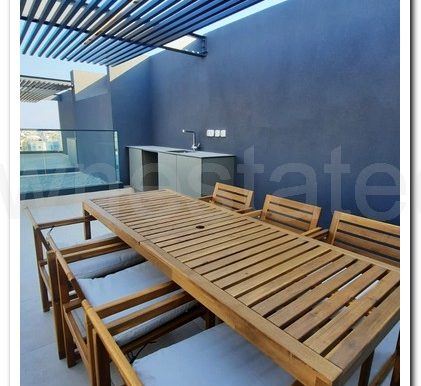 TOMMYS ROOF GARDEN APART (21)