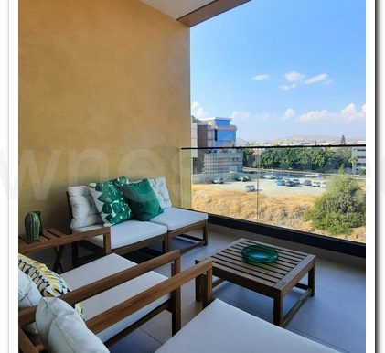 TOMMYS ROOF GARDEN APART (7)