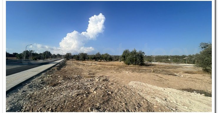 ZANATSIA EVTYXIOS PLOTS (11)