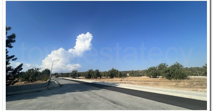 ZANATSIA EVTYXIOS PLOTS (13)